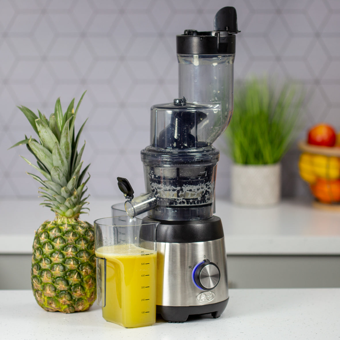 XL Slow Masticating Juicer