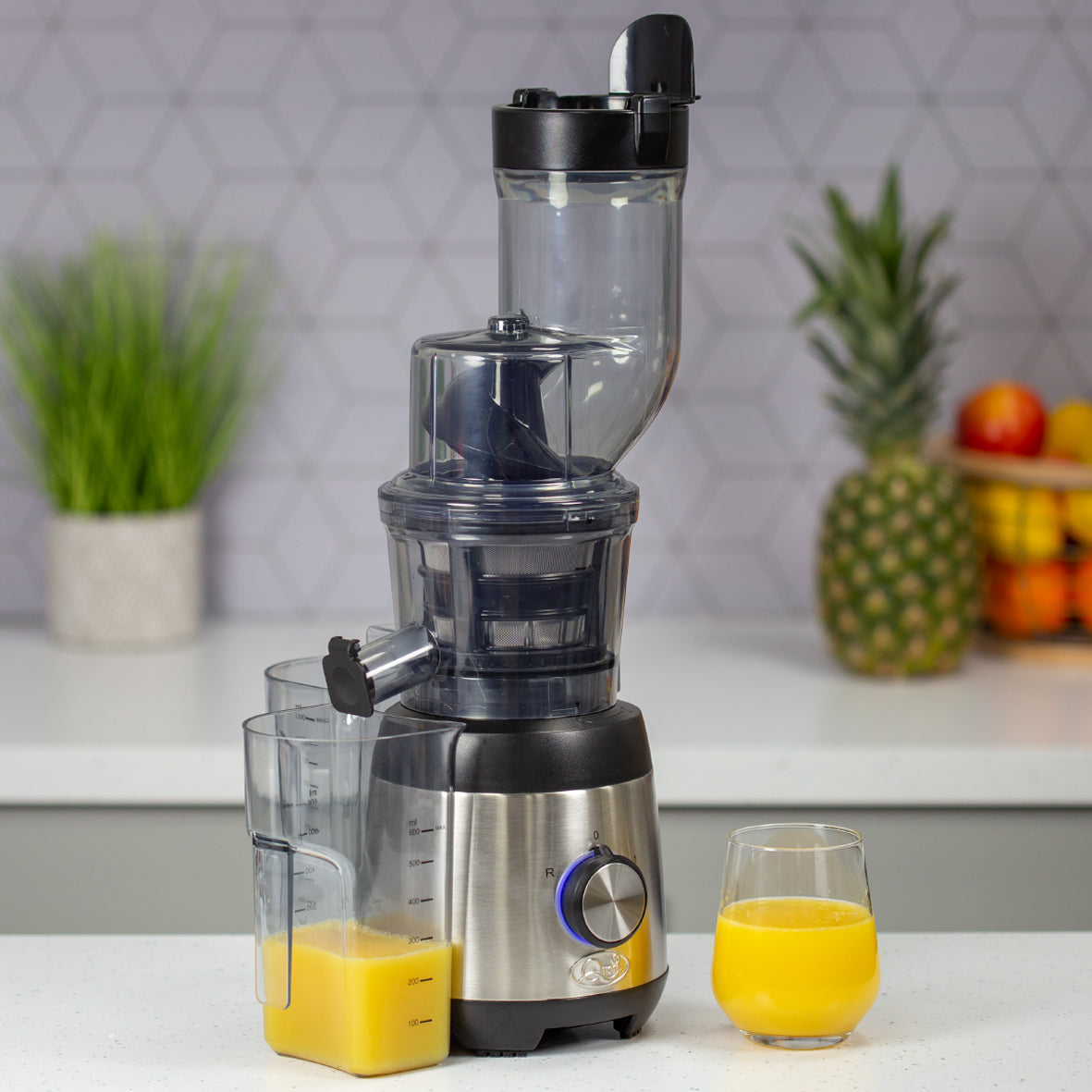 XL Slow Masticating Juicer