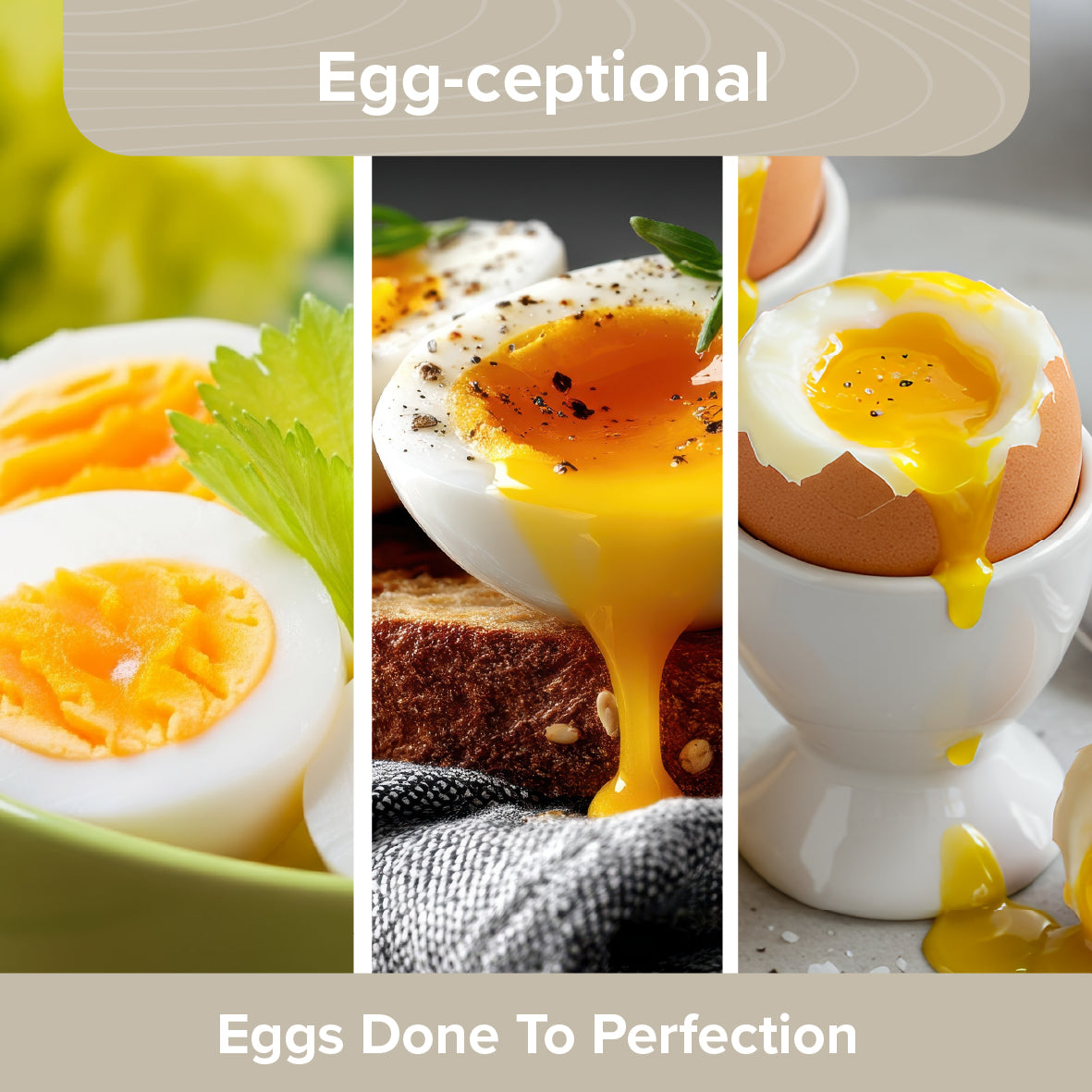 Egg Boiler & Steamer